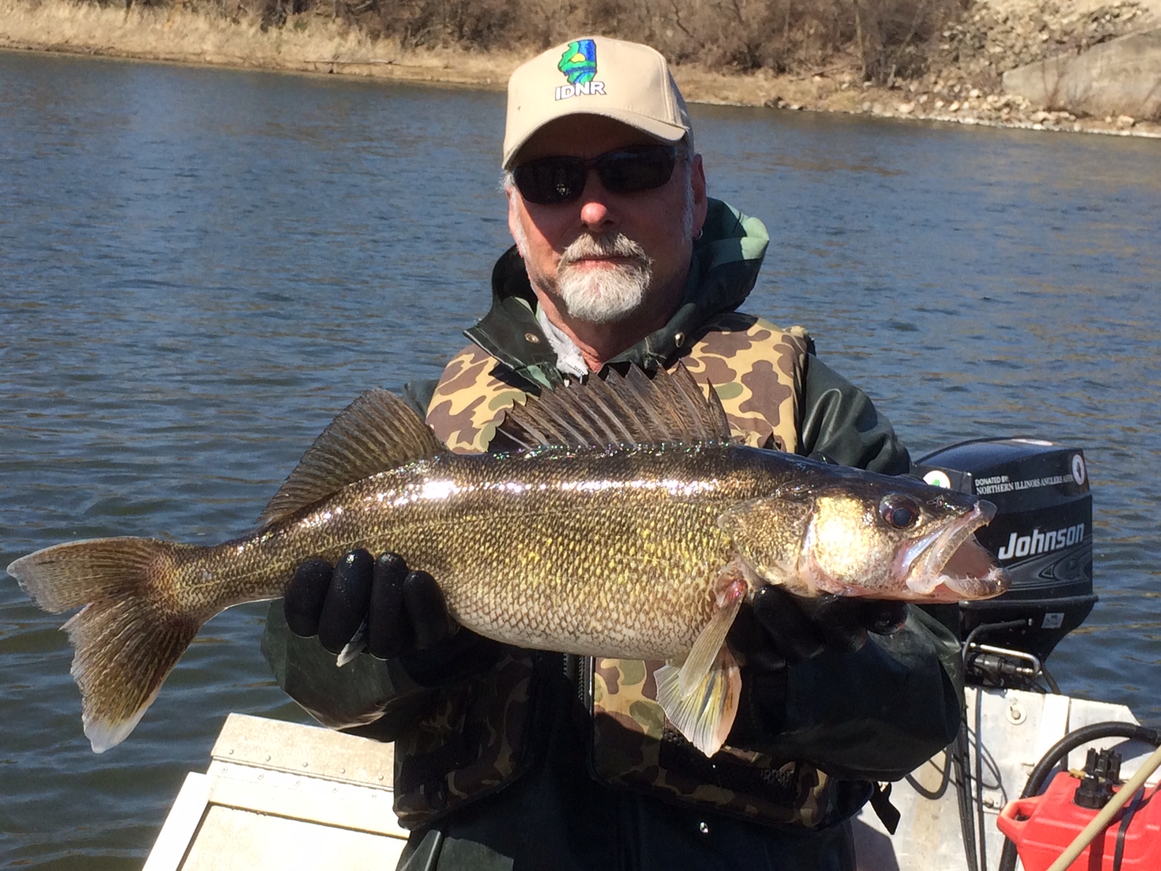 Walleye Stocking 2015